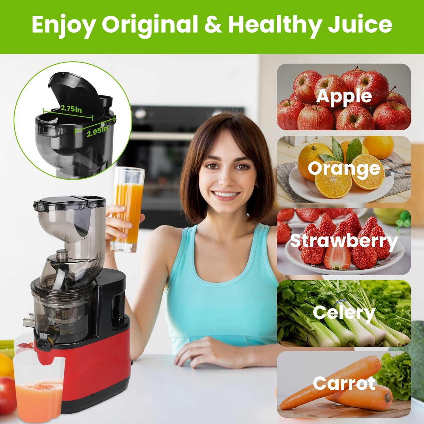Electric Cold Press Juicer with Reverse Function